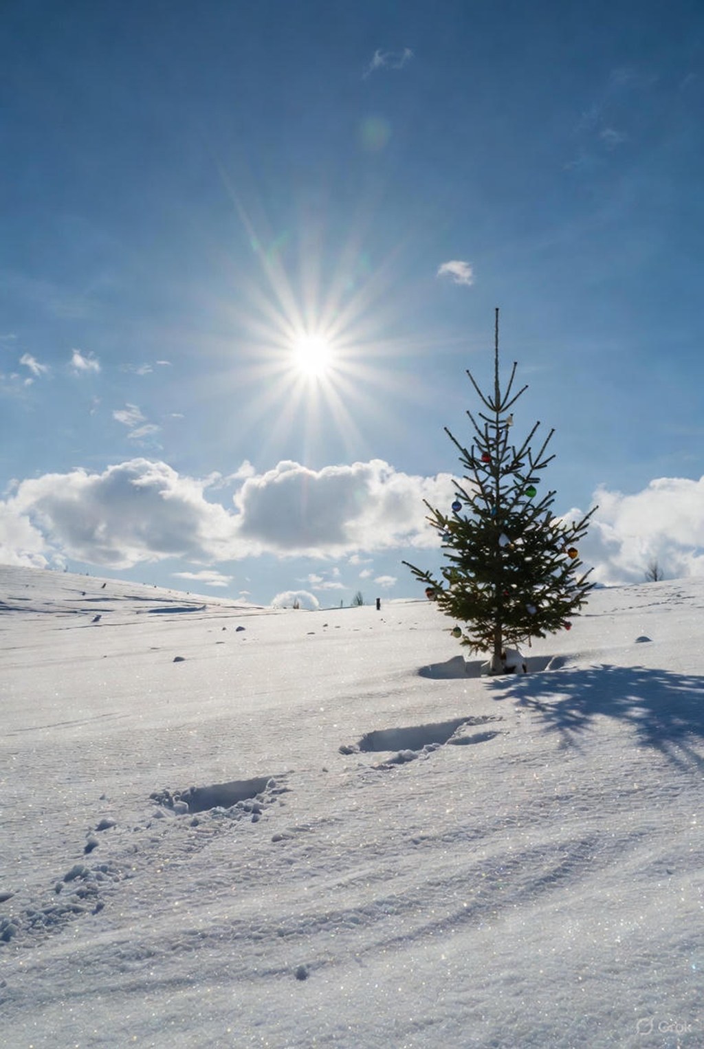 Say: Merry Christmas – song